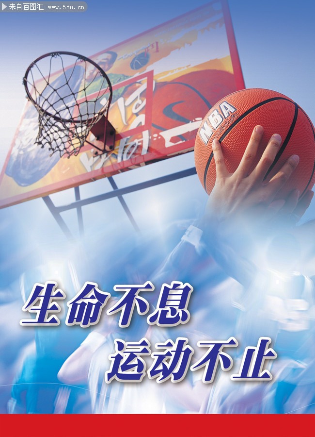篮球运动 激情与荣耀的象征